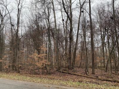 7326 State Route 19 Unit 9, Lot 2, Mount Gilead, オハイオ 43338, アメリカ合衆国