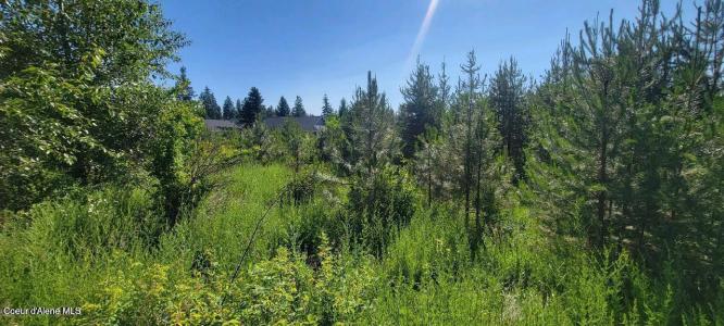 Lt 3 W Fedrick Lp, Spirit Lake, Idaho 83869, États-Unis