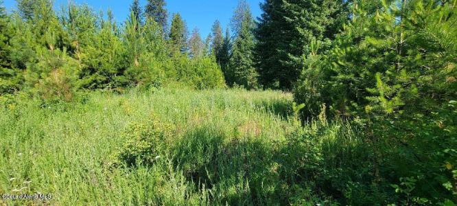 Lt 3 W Fedrick Lp, Spirit Lake, Idaho 83869, États-Unis