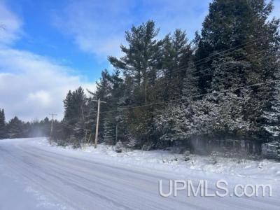 Parcel B Bootjack Rd, Lake Linden, 密西根州 49945, 美國