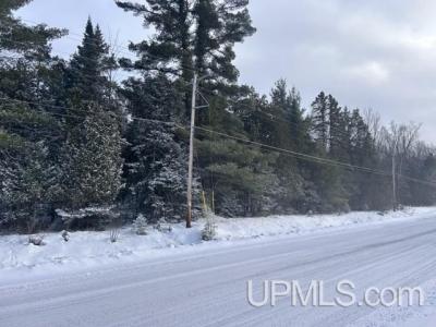 Parcel B Bootjack Rd, Lake Linden, 密西根州 49945, 美國