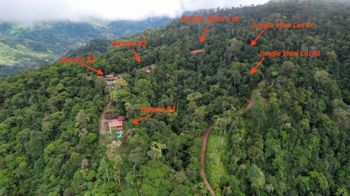 Calle Bejuco , Uvita Bahía Ballena Osa, Puntarenas 60504, Costa Rica