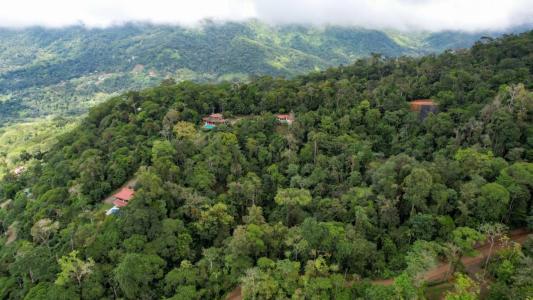 Calle Bejuco , Uvita Bahía Ballena Osa, Puntarenas 60504, Costa Rica