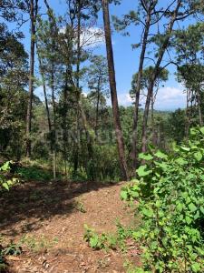 Fontanas S/N,, Valle De Bravo, Stato Del Messico 51200, Messico