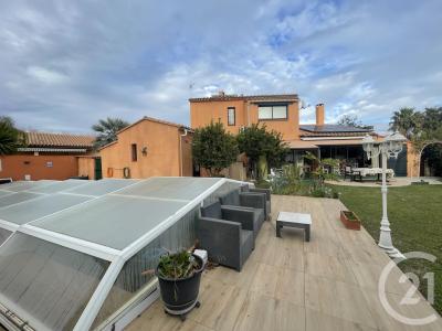 St Cyprien, Languedoc-Roussillon 66750, 法國
