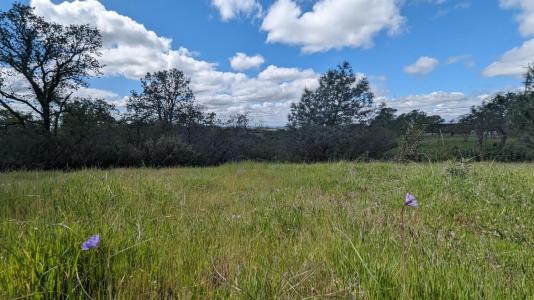 Crestview / Kittyhawk, Valley Springs, Californie 95252, États-Unis