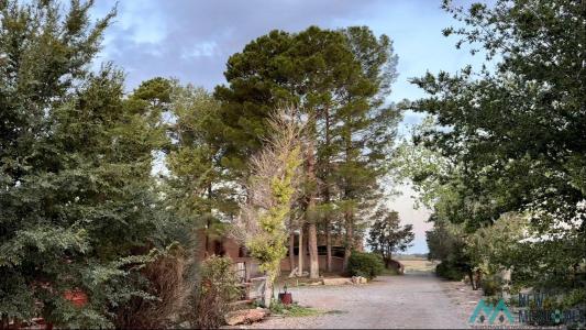 308 N Red Bridge Road, Roswell, 新墨西哥州 88201, 美國