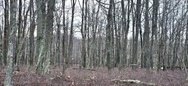LV Lot 449 Buttonbush Lane, Hazle Twp, Pennsylvania 18202, Stati Uniti