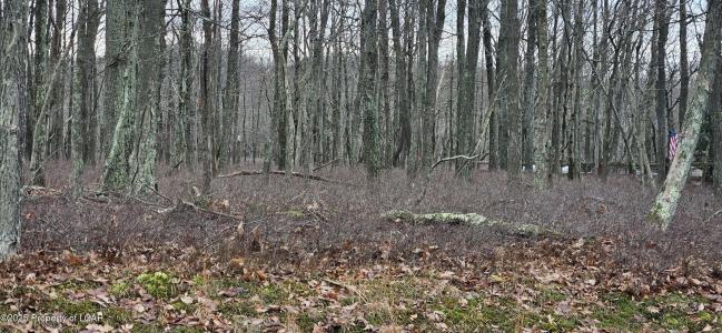 LV Lot 449 Buttonbush Lane, Hazle Twp, Pennsylvania 18202, Stati Uniti