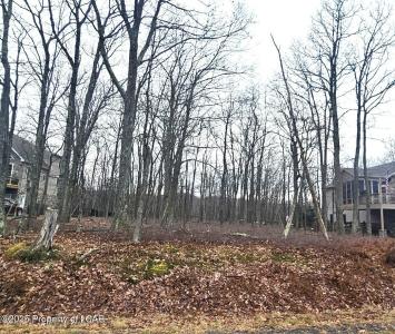 LV Lot 449 Buttonbush Lane, Hazle Twp, Pennsylvania 18202, Stati Uniti
