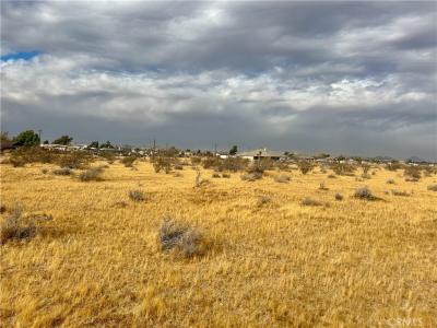 0 Gorham Rd Rd, Apple Valley, 加利福尼亚州 92308, 美国