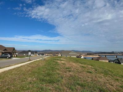 00 Shoreline Vista, Morristown, 田纳西州 37814, 美国