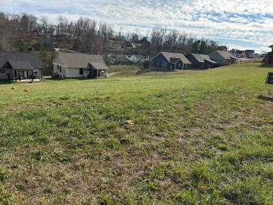 00 Shoreline Vista, Morristown, 田纳西州 37814, 美国