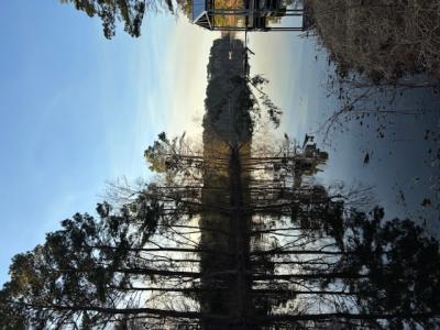 233 Canal Drive, Hemphill, Texas 75948, Estados Unidos