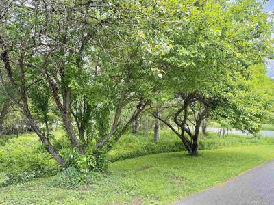 626 Highland Avenue, Troy, Vermont 05859