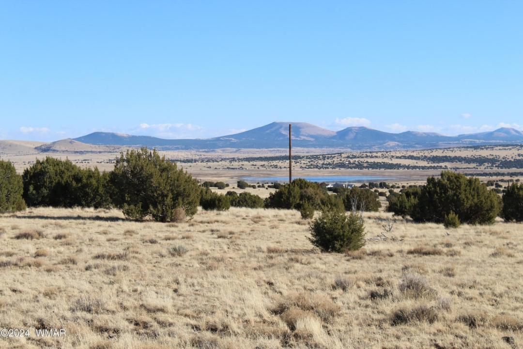 9830 Texas Lane, Show Low, Arizona 85901, États-Unis