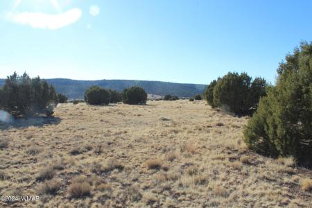 9830 Texas Lane, Show Low, Arizona 85901, États-Unis