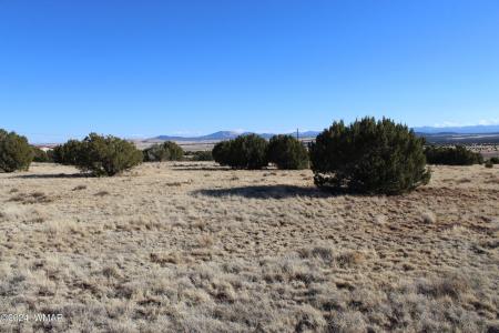 9830 Texas Lane, Show Low, Arizona 85901, États-Unis