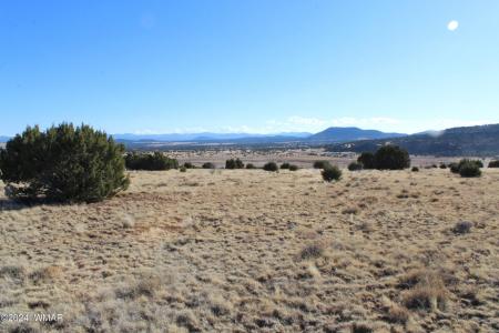 9830 Texas Lane, Show Low, Arizona 85901, États-Unis