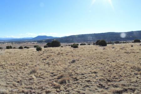 9830 Texas Lane, Show Low, Arizona 85901, États-Unis