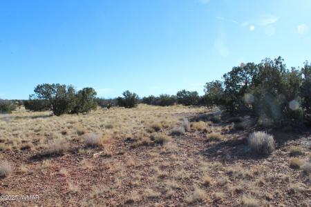Lot 20  County Road 5152, Concho, Arizona 85924, Estados Unidos