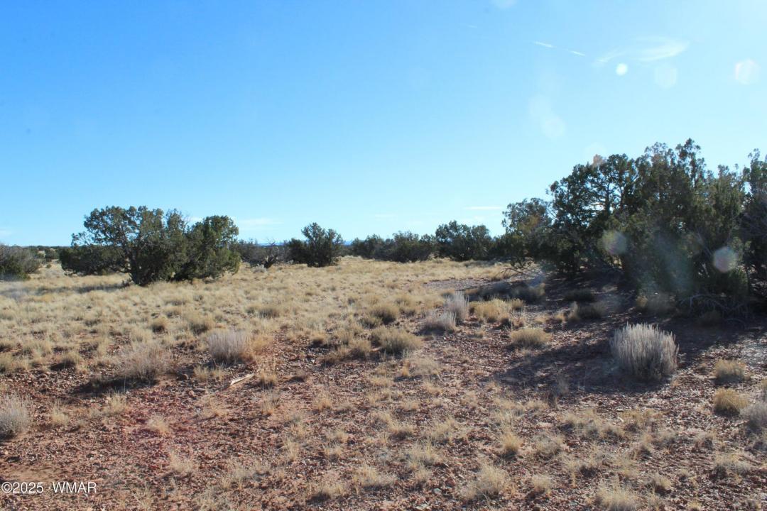 Lot 20 County Road 5152, Concho, Arizona 85924, Estados Unidos