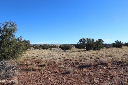 Lot 20 County Road 5152, Concho, Arizona 85924, Estados Unidos