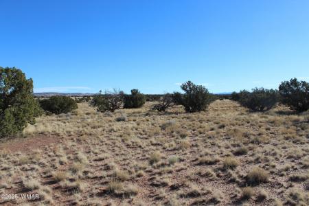 Lot 20 County Road 5152, Concho, Arizona 85924, Estados Unidos