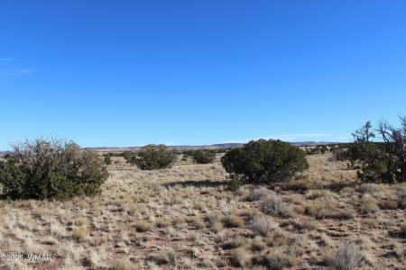 Lot 20 County Road 5152, Concho, Arizona 85924, Estados Unidos