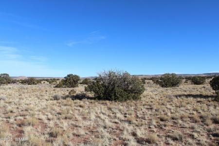 Lot 20 County Road 5152, Concho, Arizona 85924, Estados Unidos