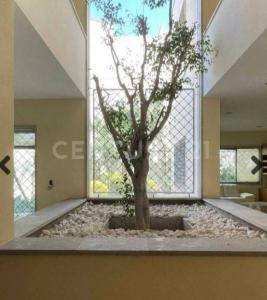 La Malinche 377,, Tlalpan, Ciudad De México 14608, México