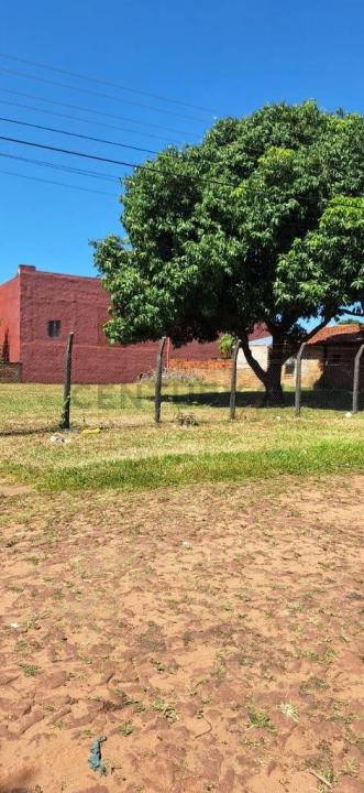 Padre Palermo casi Martin Rojas , San Lorenzo, Centralne 00001, Paragwaj