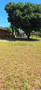 Padre Palermo casi Martin Rojas , San Lorenzo, Centralne 00001, Paragwaj