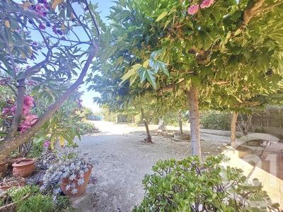 Leucate, Languedoc-Roussillon 11370, France