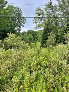 3055 VT Route 58 W, Irasburg, 佛蒙特州 05845, 美國