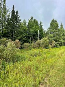 3055 VT Route 58 W, Irasburg, 佛蒙特州 05845, 美國