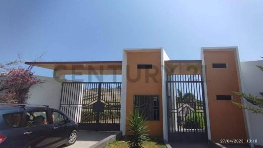 Huaura, Lima 00001, Peru