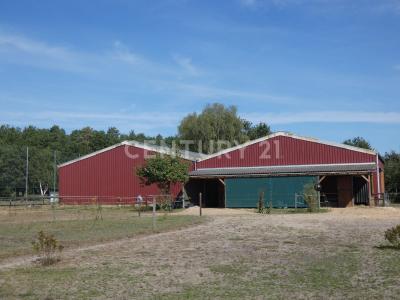 Prezelle, Niedersachsen 29491, Germany