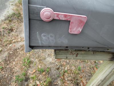 18866 NW 83rd Trail, Okeechobee, Florida 34972, Estados Unidos