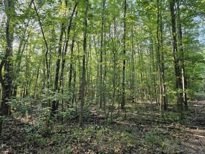 TBD Strickland Road, Big Sandy, Teksas 75755, Amerika Birleşik Devletleri