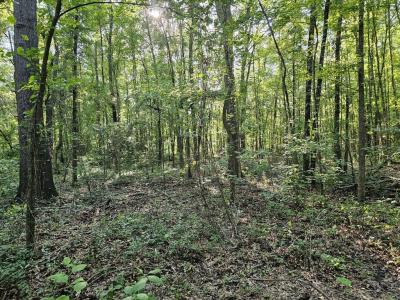 TBD Strickland Road, Big Sandy, Teksas 75755, Amerika Birleşik Devletleri