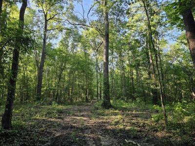 TBD Strickland Road, Big Sandy, Teksas 75755, Amerika Birleşik Devletleri