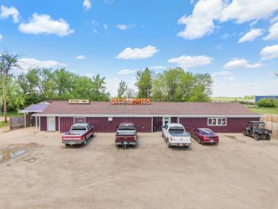 49900 NW 422nd Ave, Kenmare, North Dakota 58746