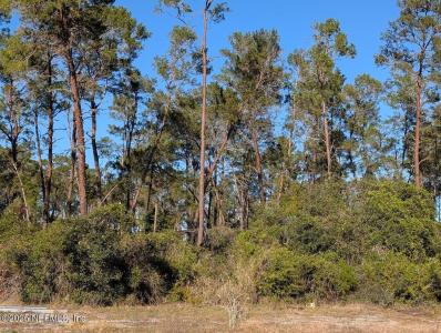 104 Pettit Rd, Crescent City, Florida 32112