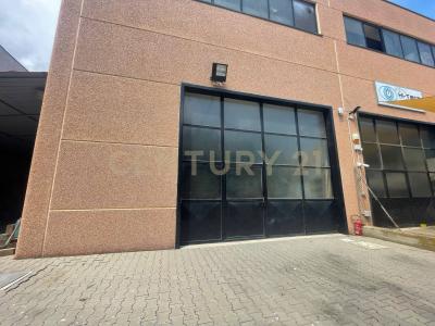 Strada Vicinale del Grottino, Monte Argentario, Toscana 58019, 義大利