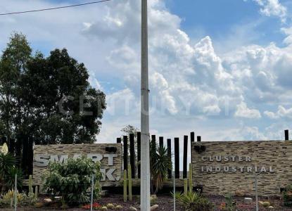 Irapuato, グアナファト 36810, メキシコ