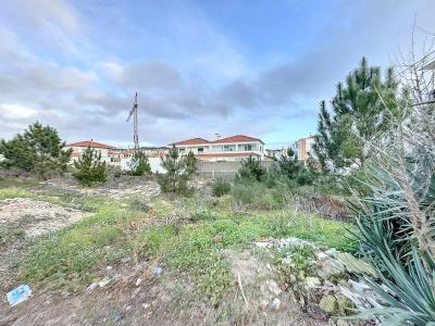 Nazaré, レイリア 2450-284, ポルトガル