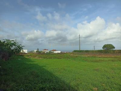 Ribeira Grande, São Miguel 9600-413, Portugal