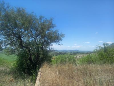 Malelane, Mpumalanga, Güney Afrika