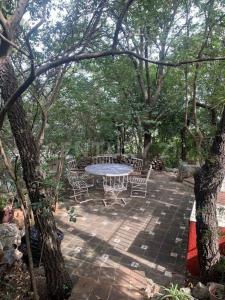 San Pedro Garza García, Nuevo León 66290, México